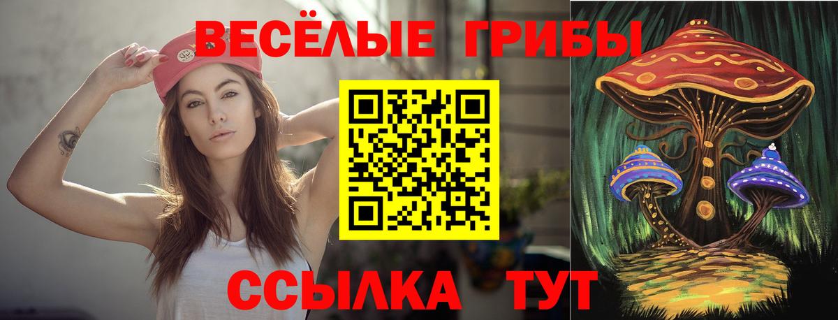 Псилоцибиновые грибы мицелий  Псилоцибиновые грибы GOLDEN TEACHER  Вход с VPN  Ессентуки 