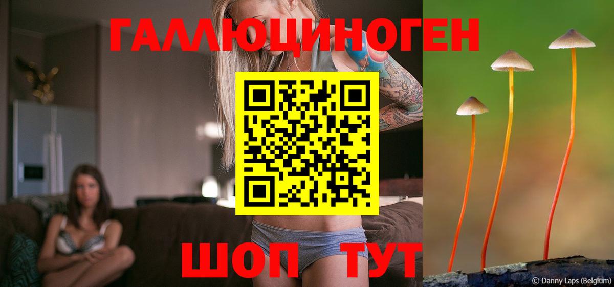 Галлюциногенные грибы Psilocybine cubensis Ессентуки
